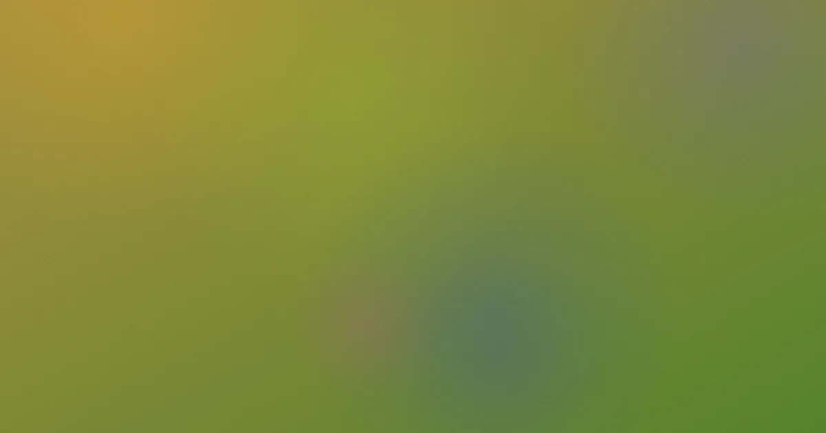 新金瓶梅观看推荐：新手选法